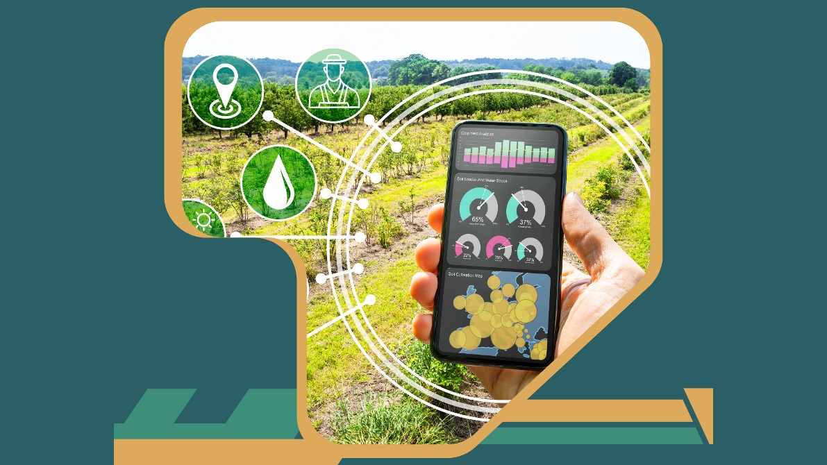 CICYTEX lidera el proyecto hispano-luso TID4AGRO para incentivar la digitalización de la agroindustria implementando tecnologías avanzadas.jpg